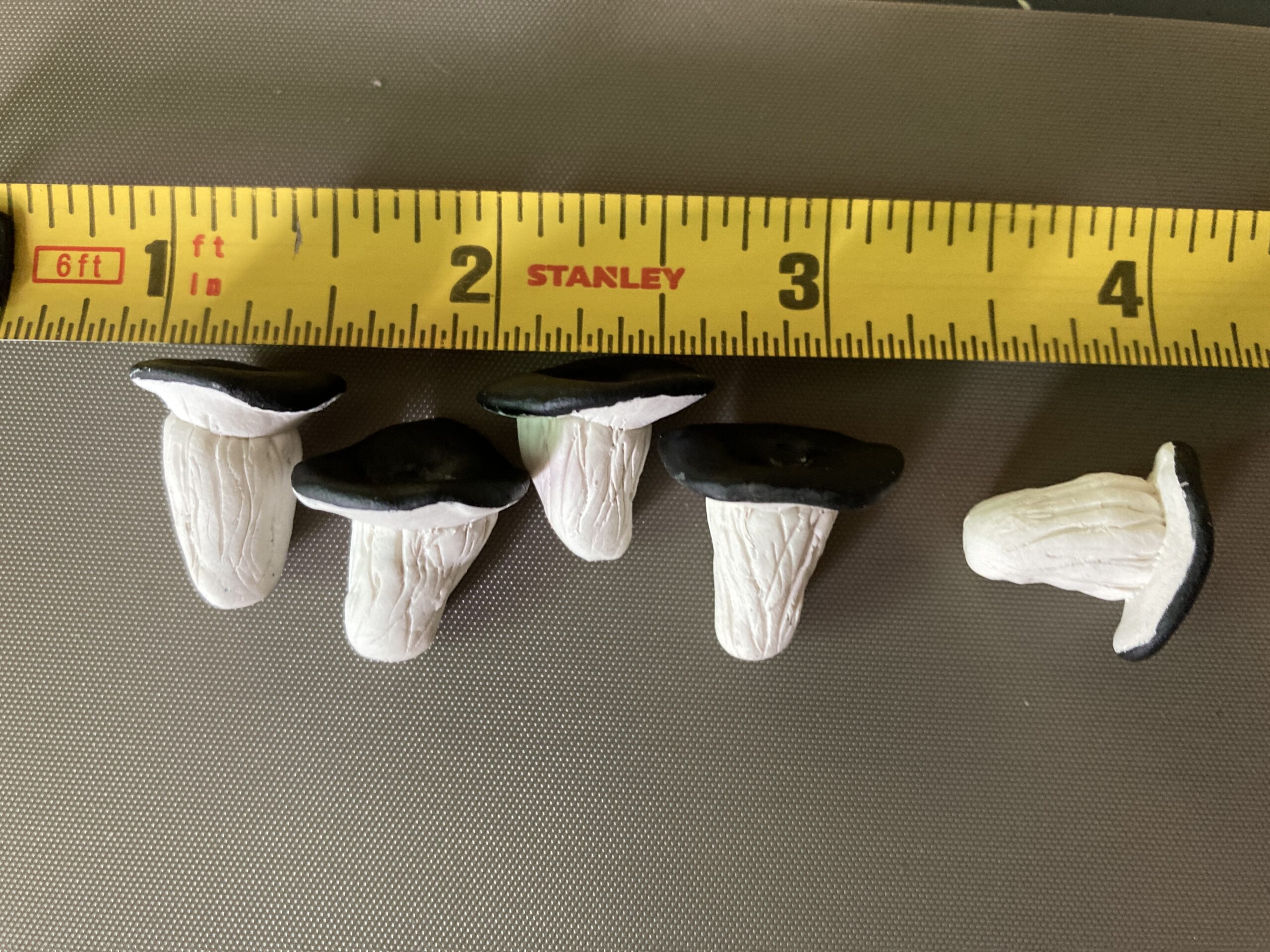 BlackOyster-- - Copy