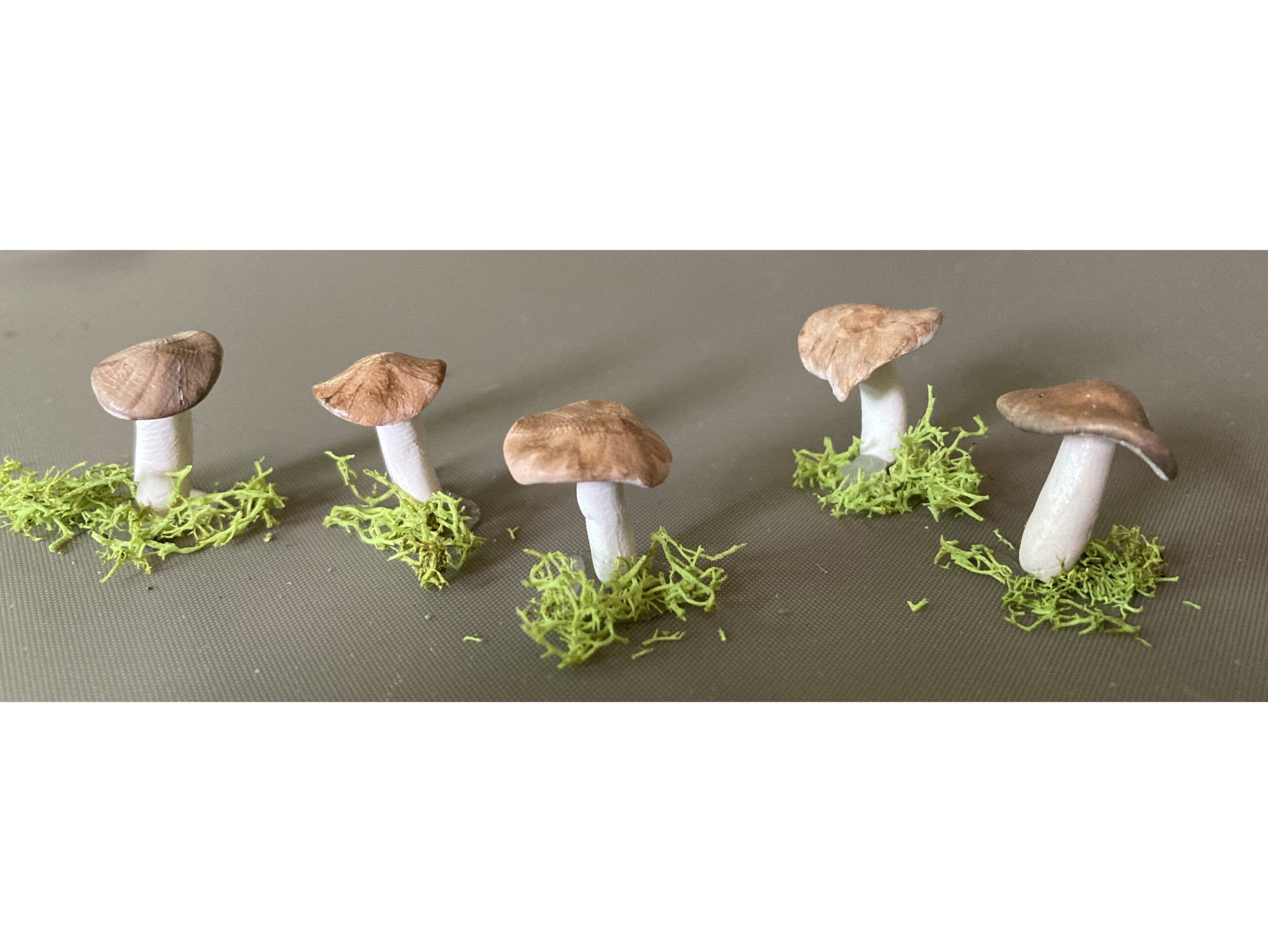 Micro brown mushrooms clay
 $8.99 (5) or $7.82 (10)