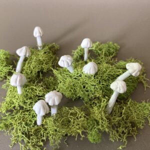 Mini Fairy Inkcap mushroom